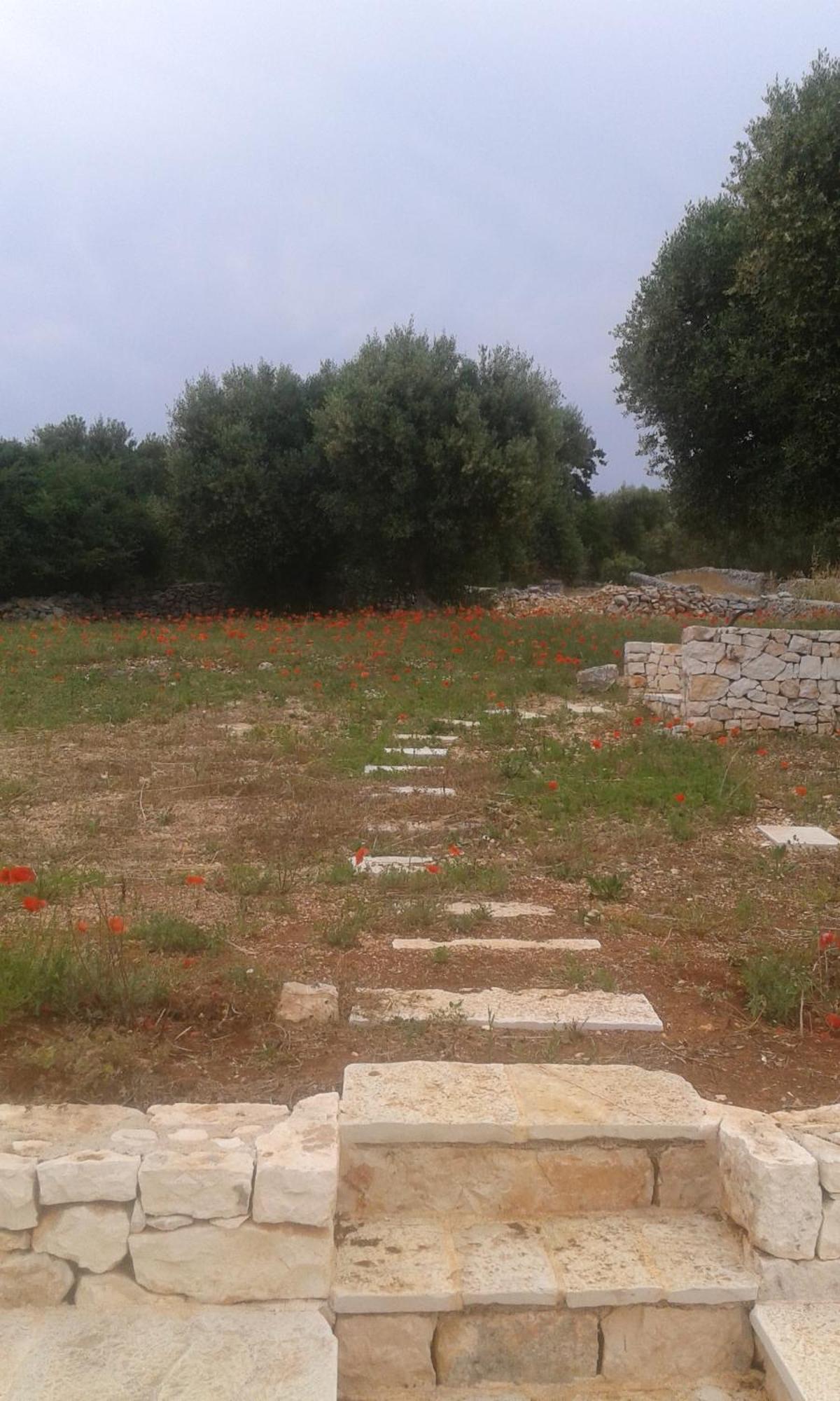 הוילה צ'יסטרנינו Trullo Alto Salento מראה חיצוני תמונה