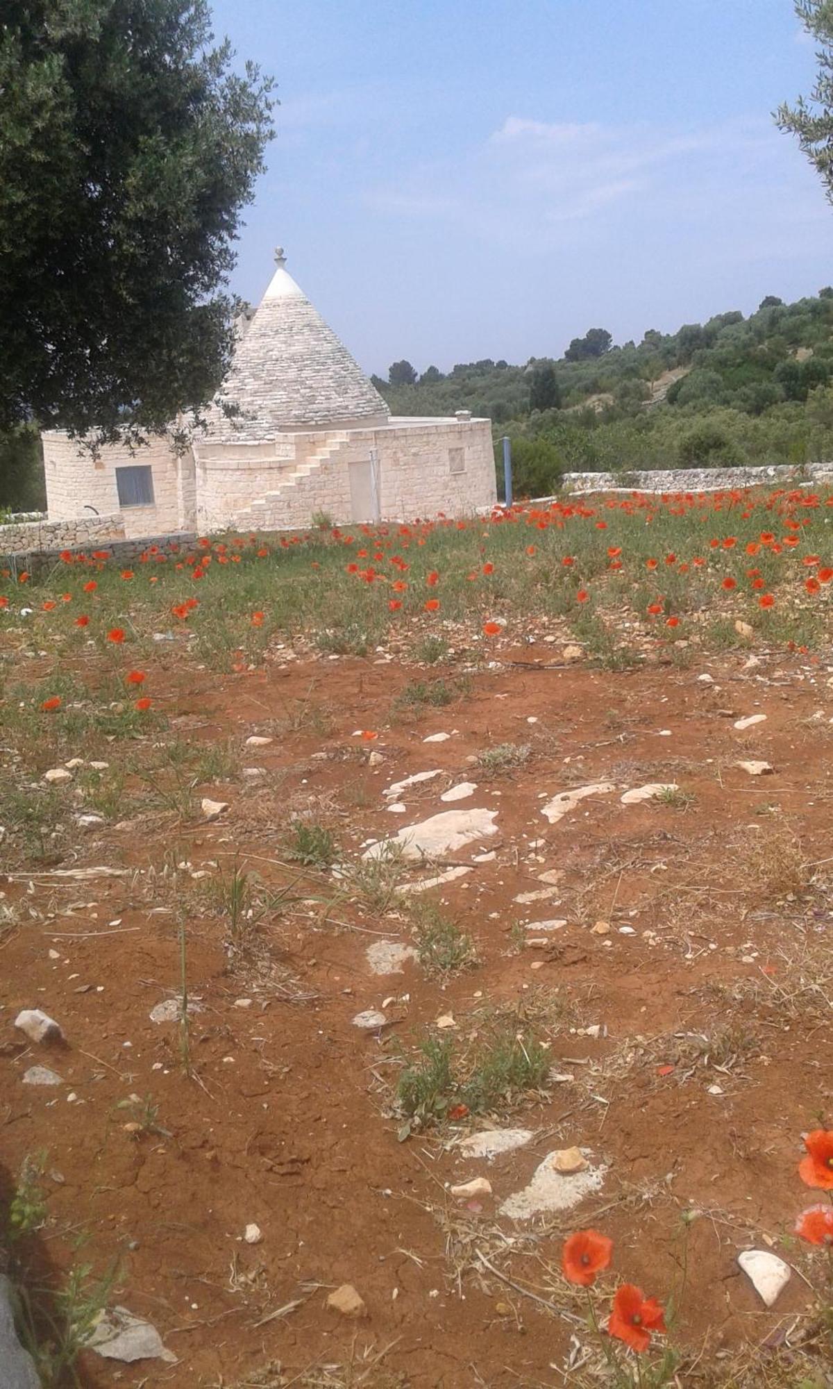 הוילה צ'יסטרנינו Trullo Alto Salento מראה חיצוני תמונה